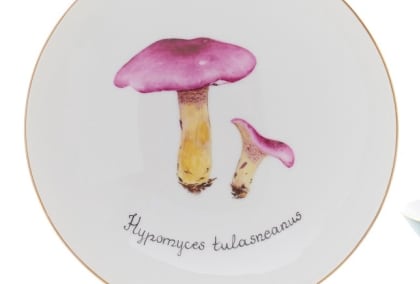 Fine Porcelain Painting Workshop Obby