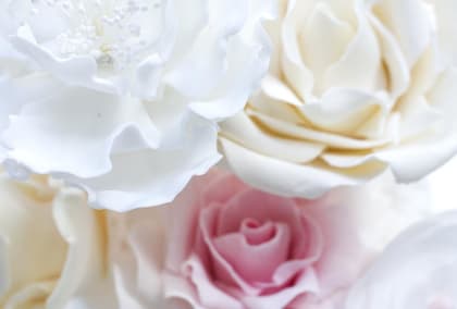 Make Sugar Flowers Learn How To Make Peonies And Roses To Give