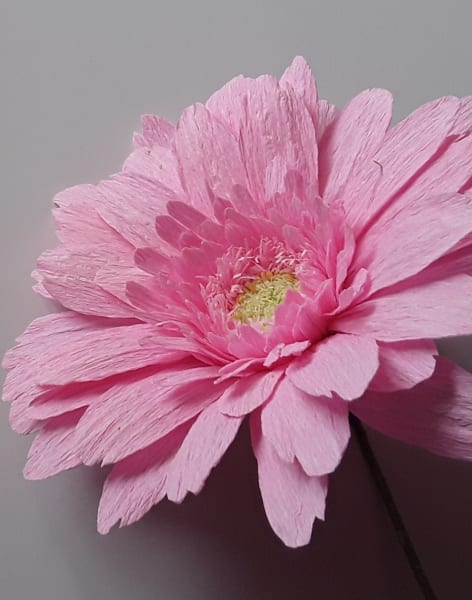 paper flower making for beginners obby paper flower making classes