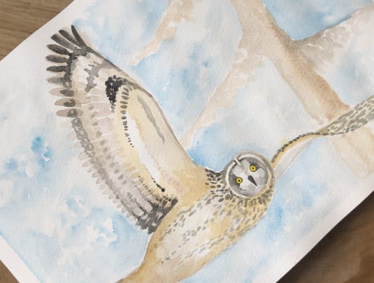 Mindful Watercolour and Gouache Painting class for beginners