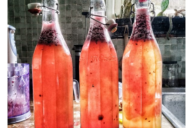 Kombucha & Kefir Making Class - Lacto Fermented Drinks