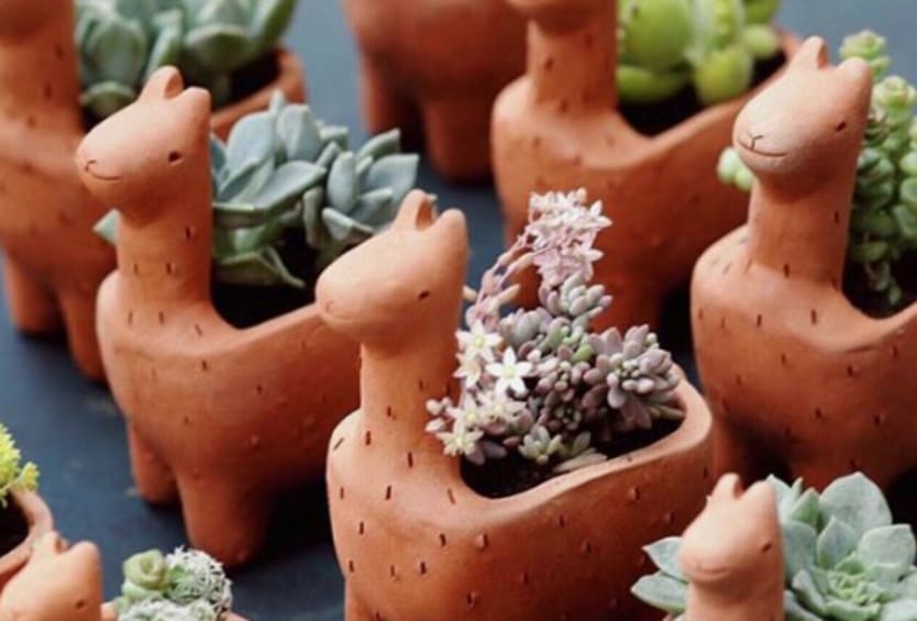 The Terra Cotta Collection, Handmade Pottery