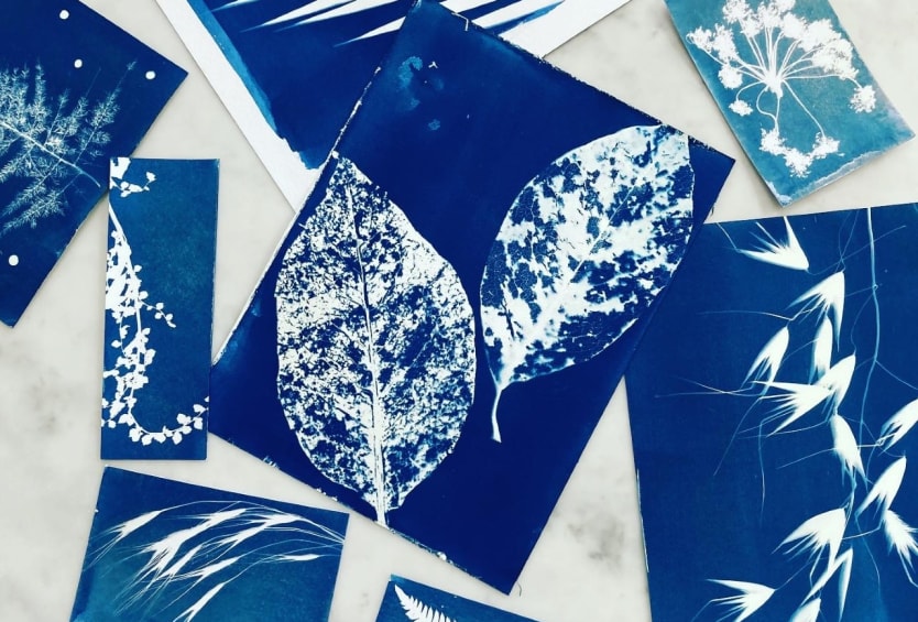 Complete Cyanotype Kit with E-Learning Course