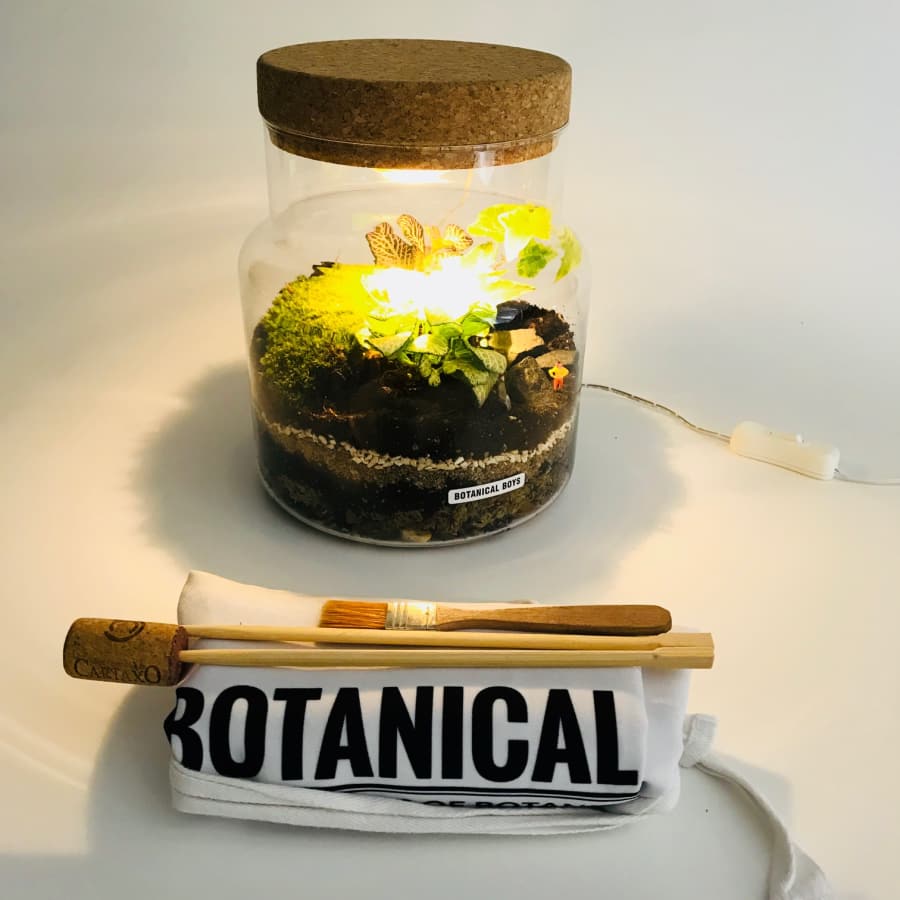Make Your Own Terrarium Table Lamp Botanicalboys Obby Make Your Own Terrarium Table Lamp Botanicalboys By Botanical Boys Crafts In London