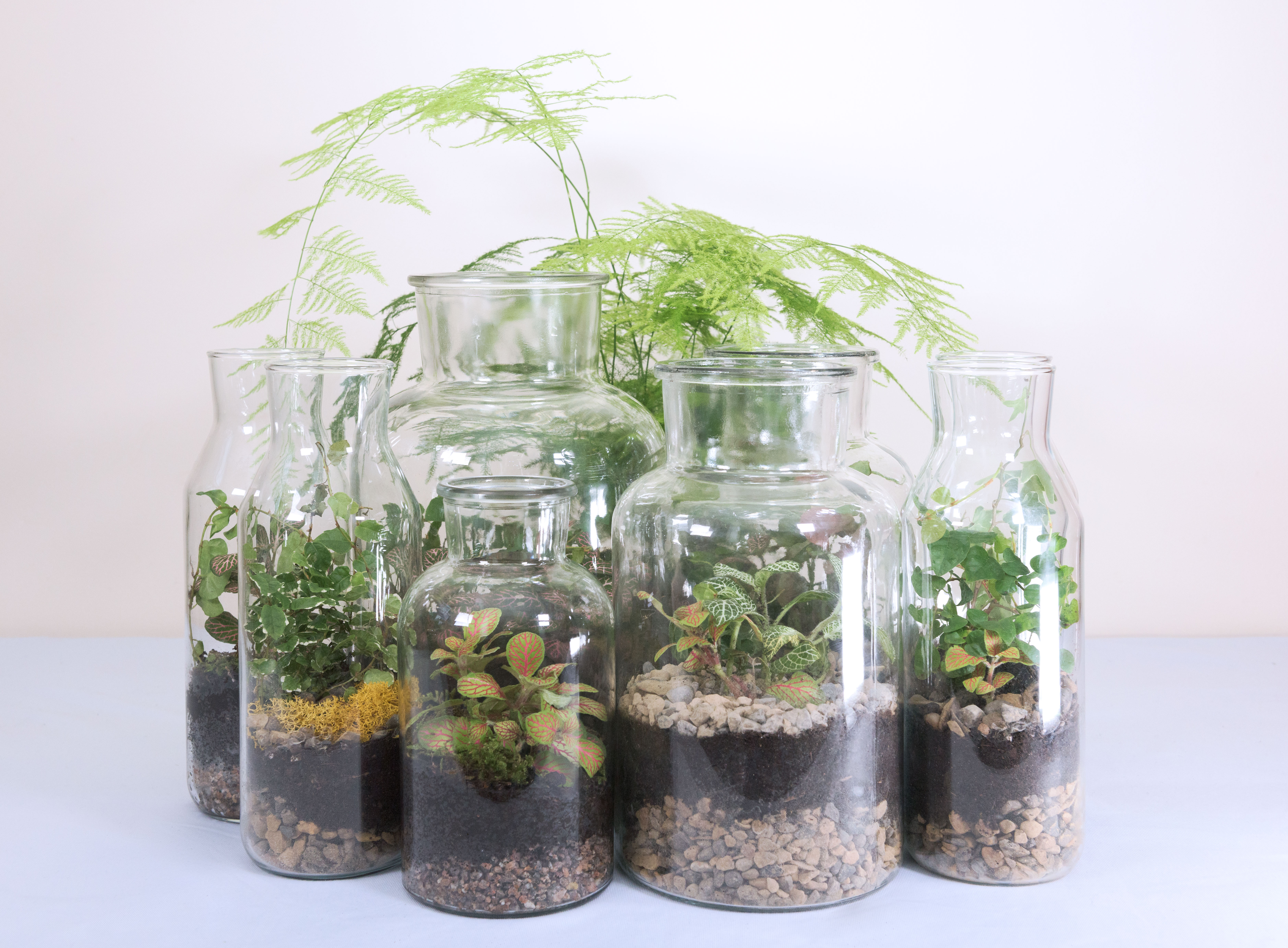 Sealed Terrarium Workshop by Cuemars - crafts in London