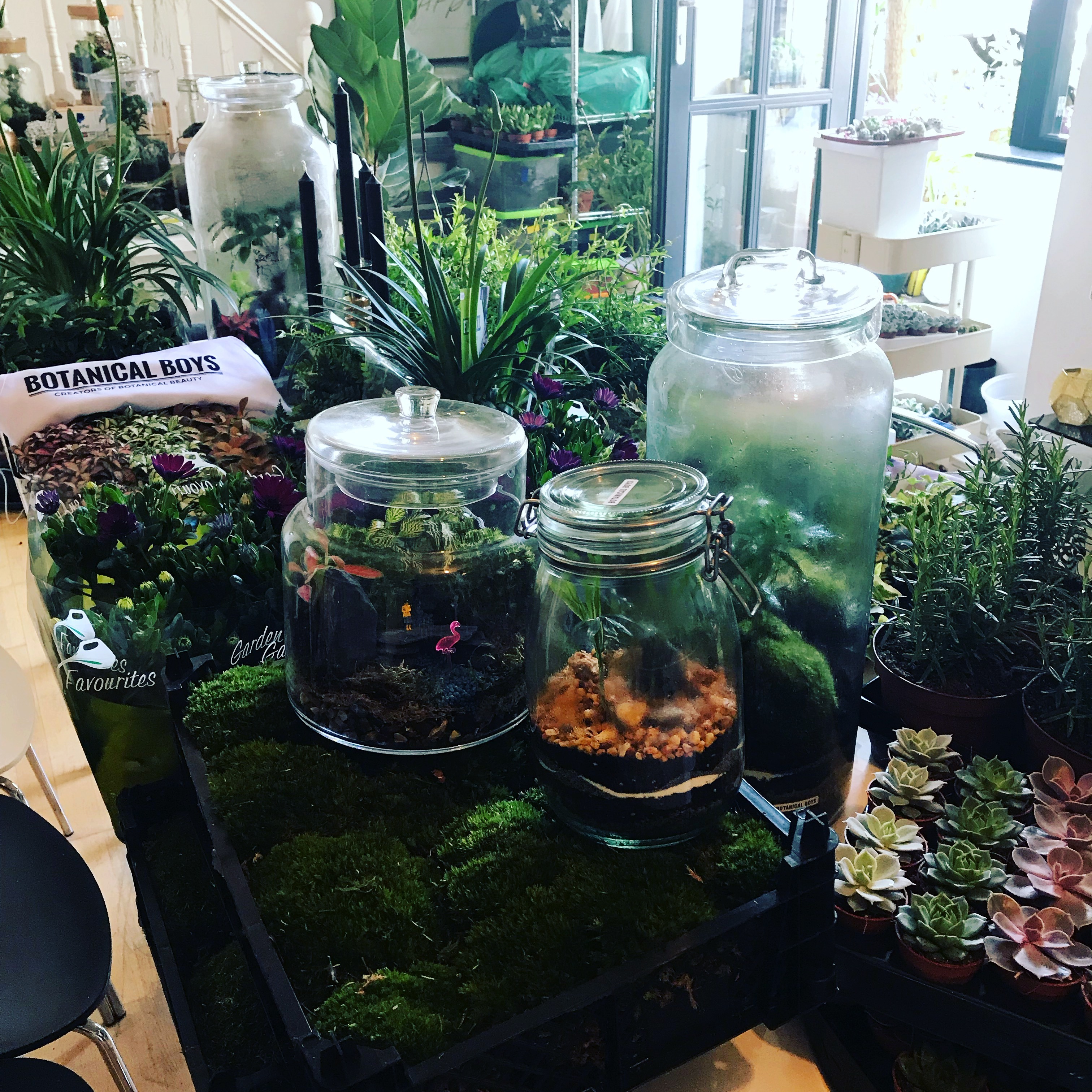 Cork Jar Terrarium Kit