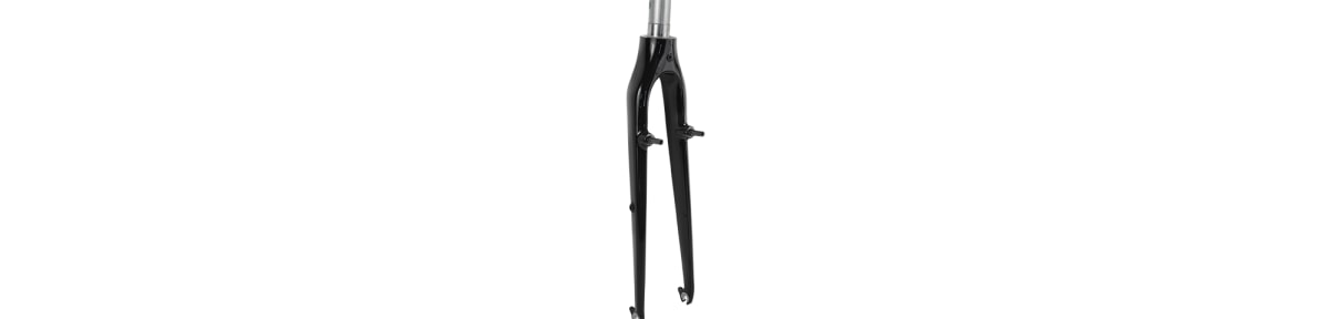 2019 FX with Carbon ZS Lowers Neutral 700c Forks