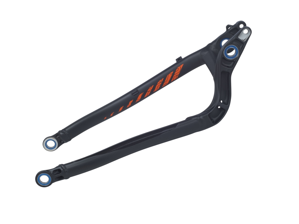 2019 Remedy 29 Boost 148 Carbon Chainstay