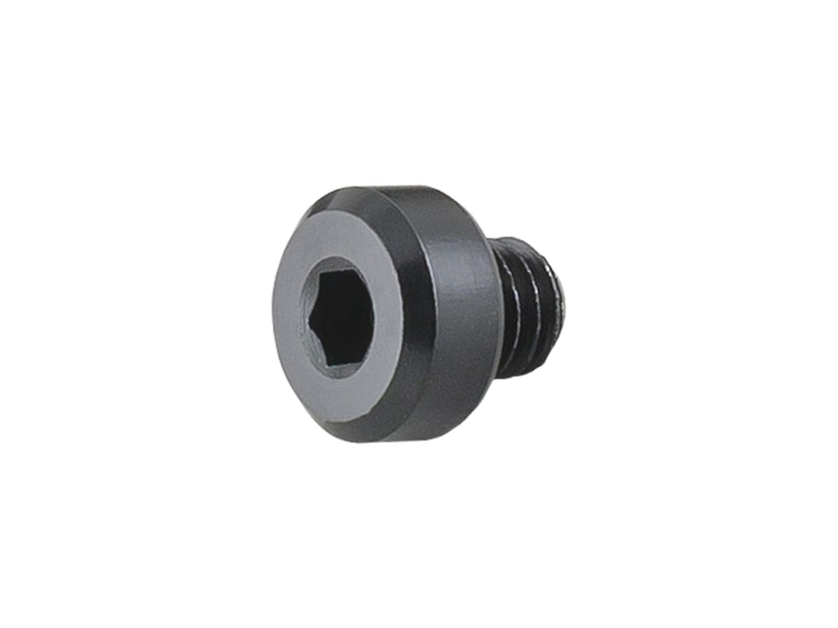 Madone/Speed Concept Derailleur Hanger Button Head Bolt