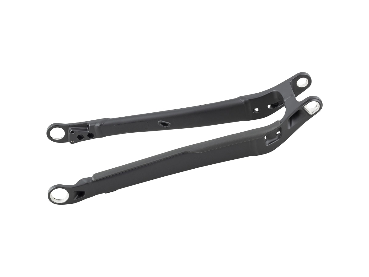 2020-2021 Rail 29 Aluminum Chainstay