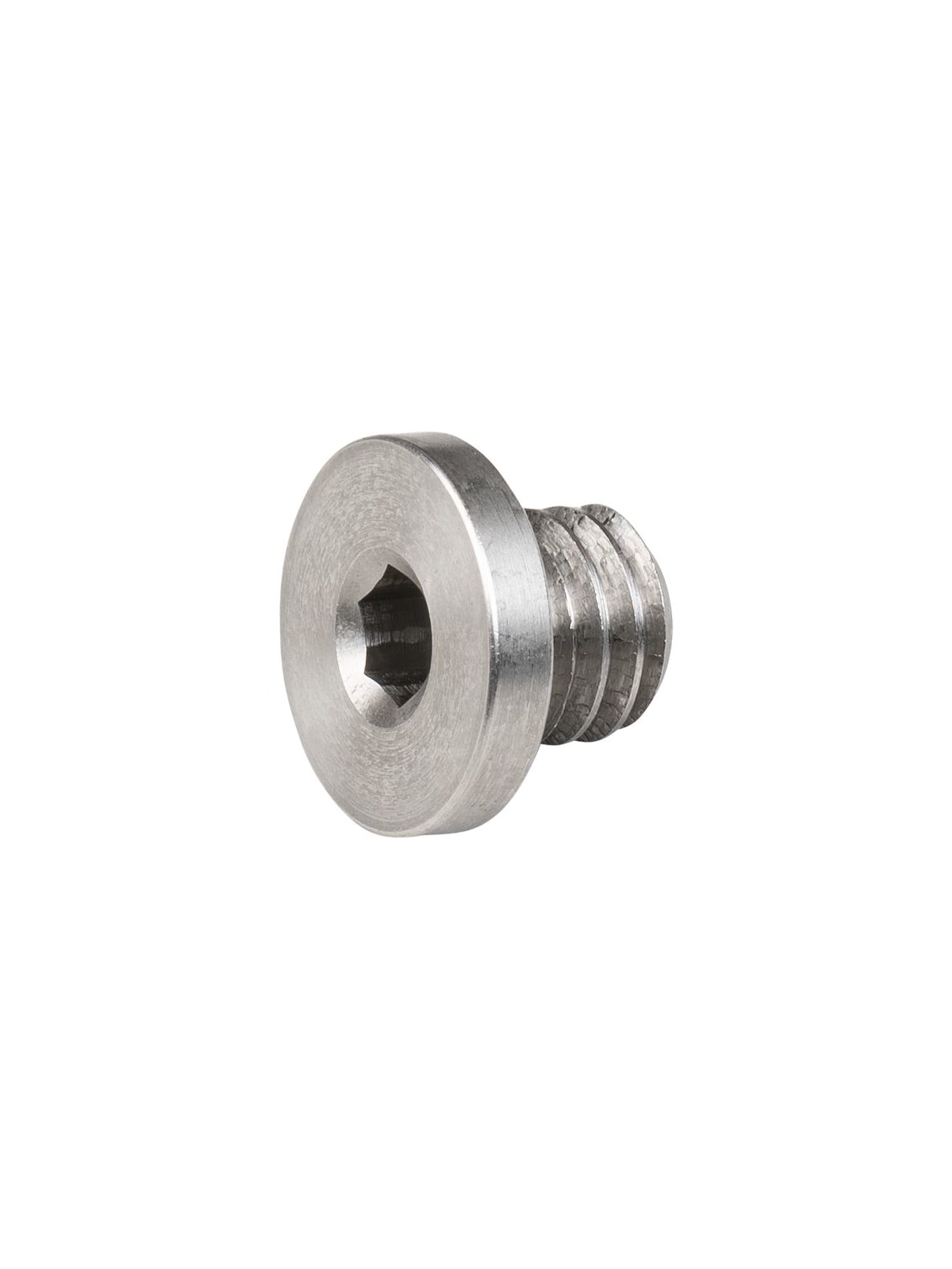 Derailleur Hanger Button Head Bolt