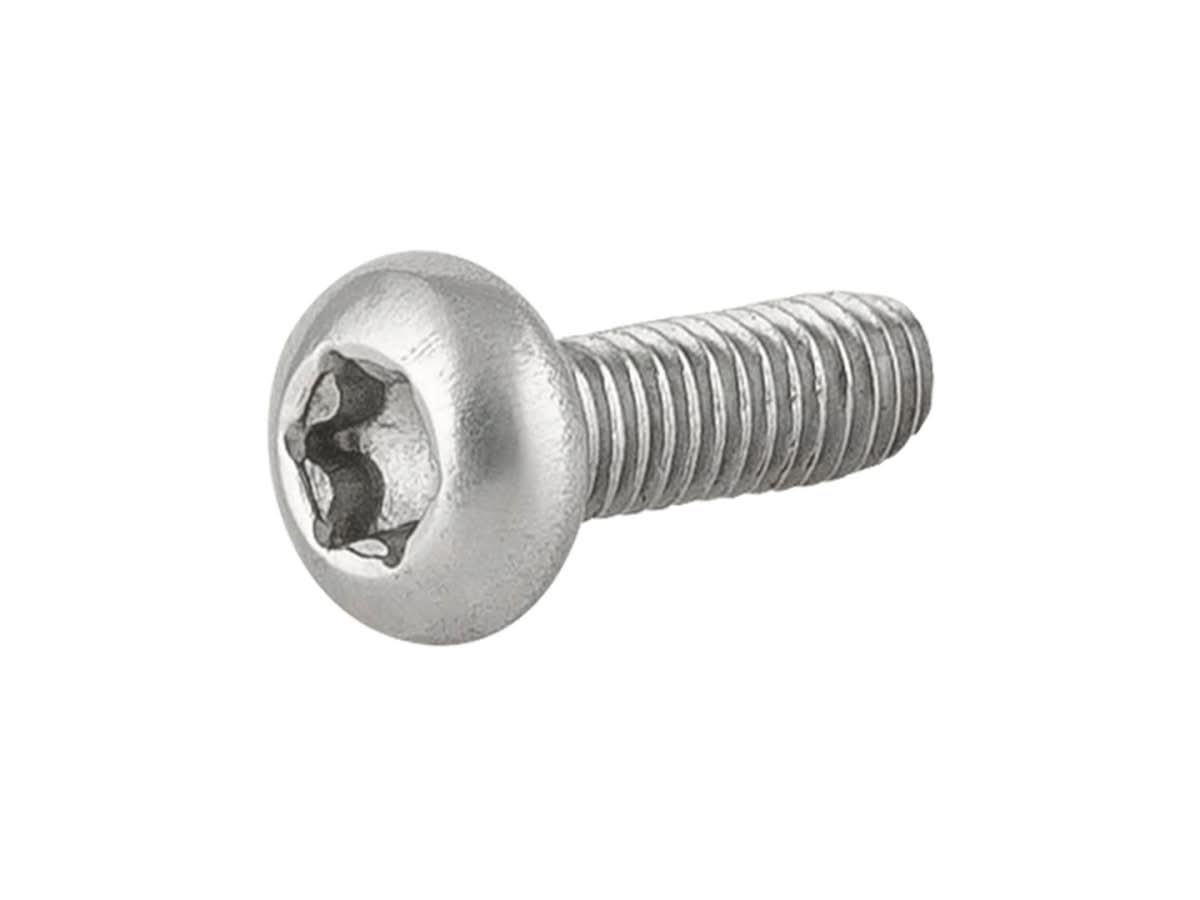 T20 Torx Head Thread Forming Screw