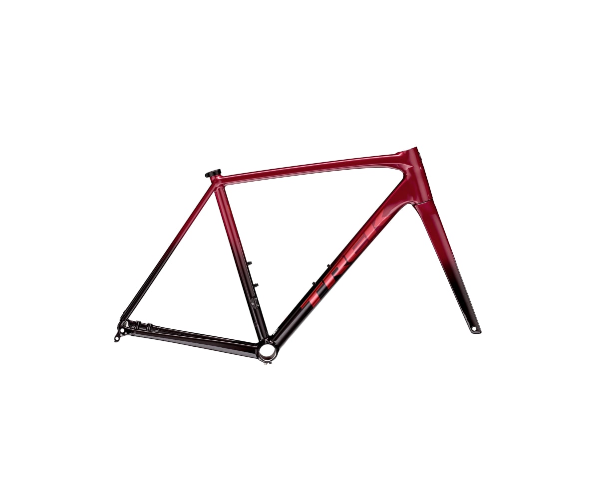 2025 Emonda ALR Disc Frame Set
