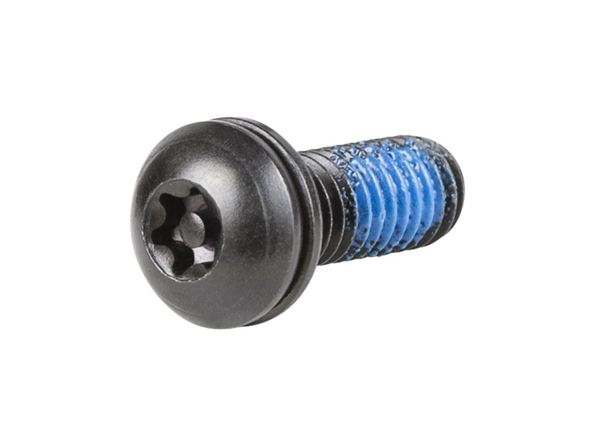 Domane MKIV IsoSpeed Tongue Fixing Bolt