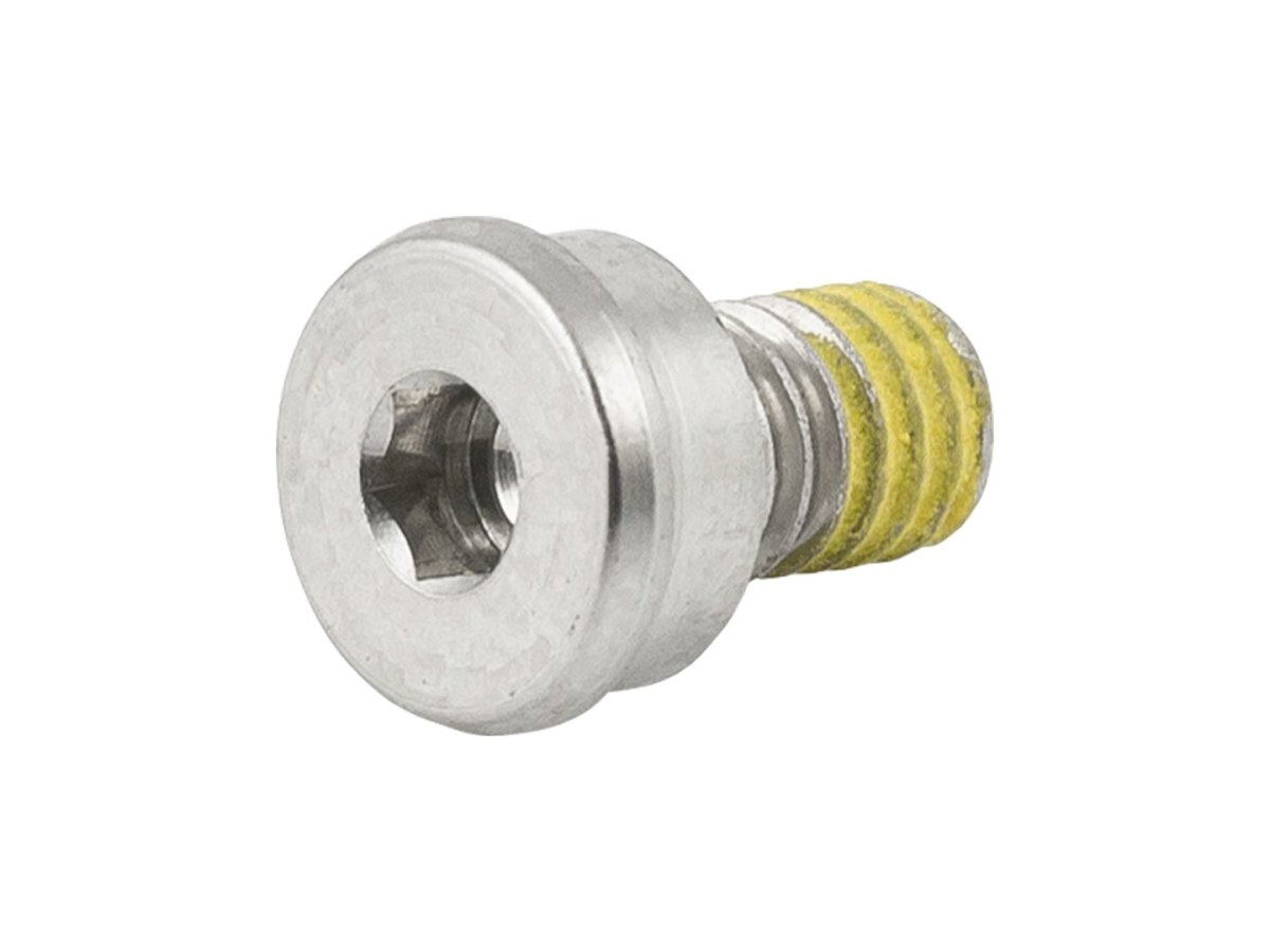 Domane+ SLR Motor Cover Bolt