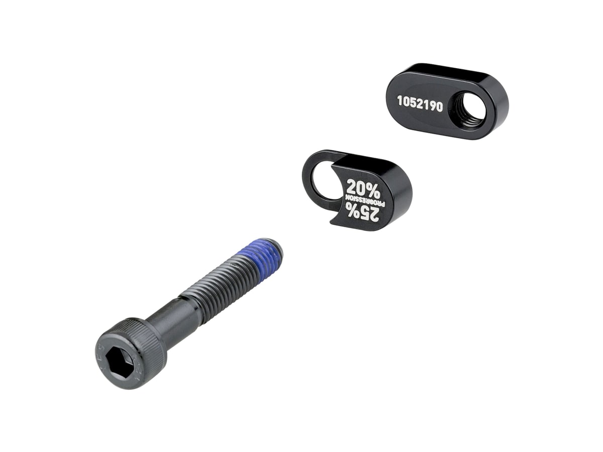 2022 Session 29 Lower Shock Mino Link Bolt Kit