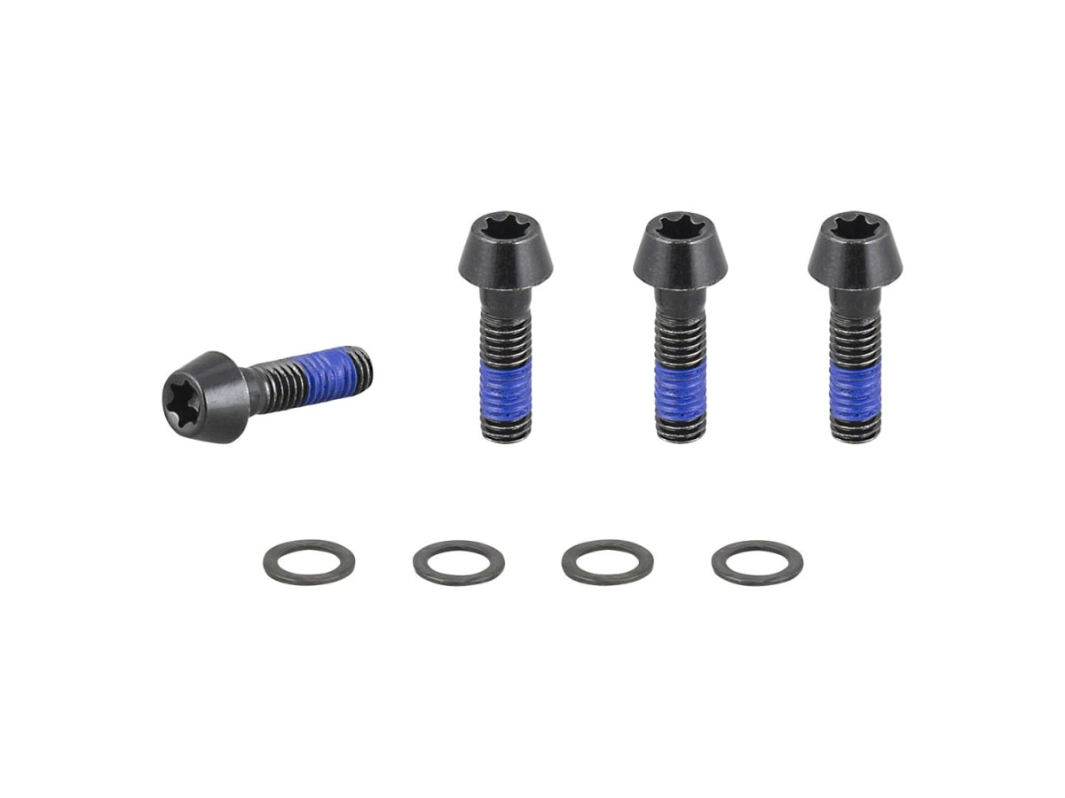 2021 E-Caliber 29 Chainstay Bridge M6x1x20mm Bolts
