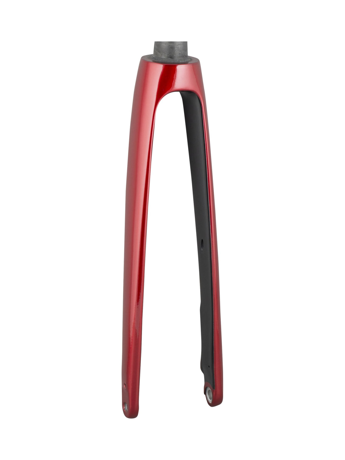 2021 Domane+ ALR 700c Rigid Fork
