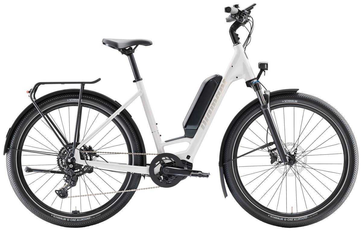 2026 Zing Trip Core (Lowstep) - 545Wh