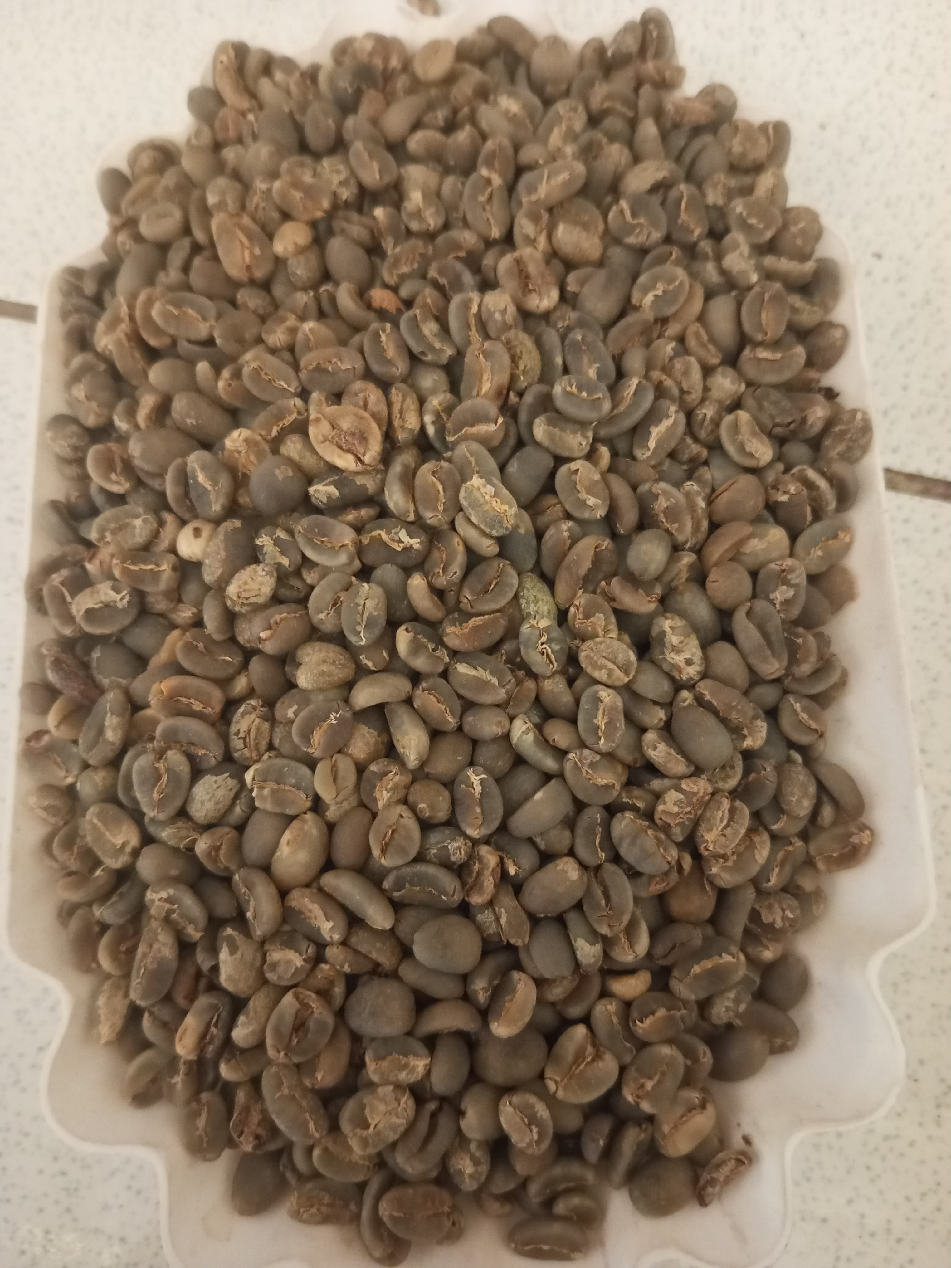 Arabica Gayo Takengon