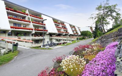 Vestliskrenten Sameie