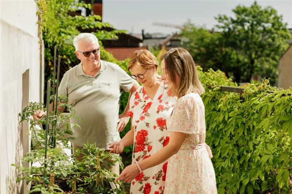 Beboere i Damstredet borettslag ser på grønne planter i bakgården