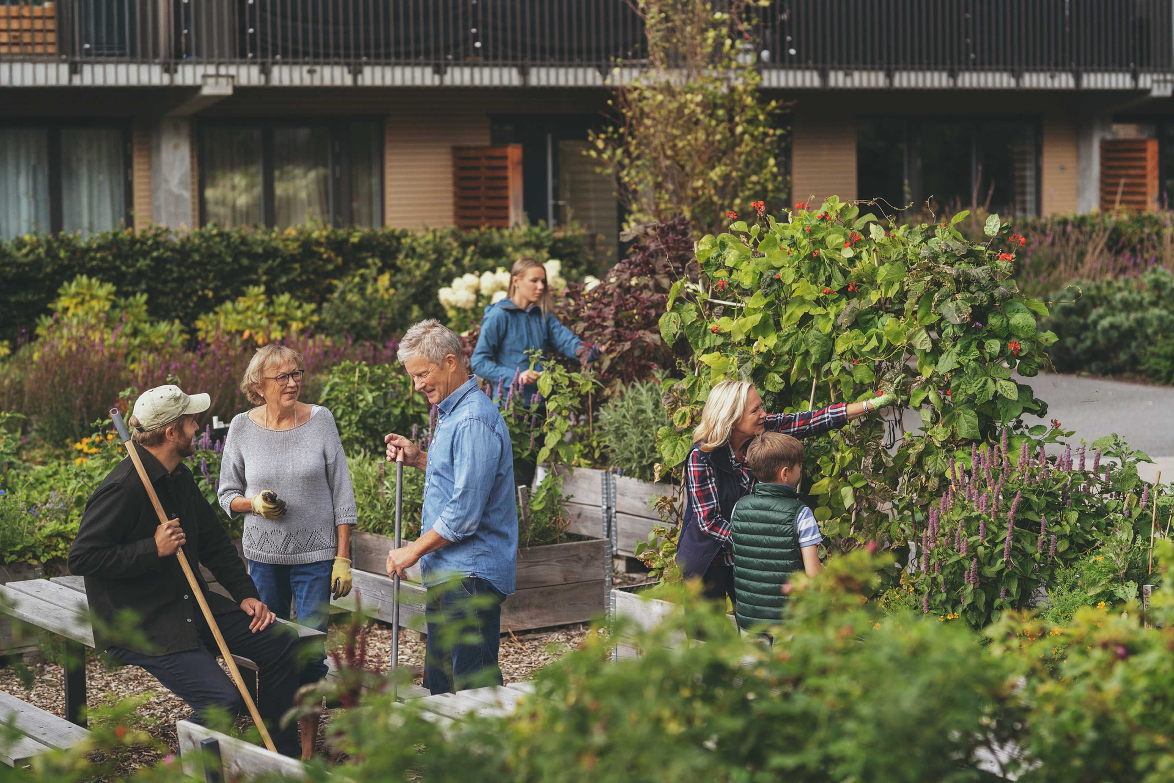 Uteområdet i et borettslag