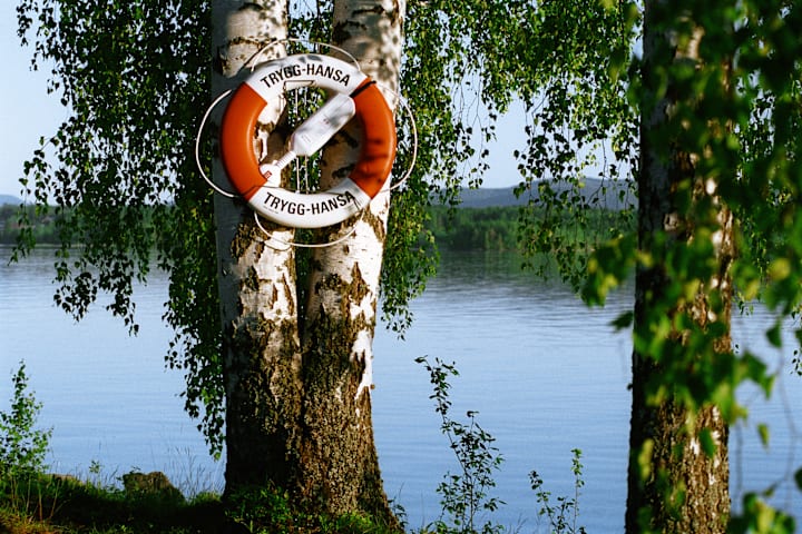 Livboj på träd vid sjö