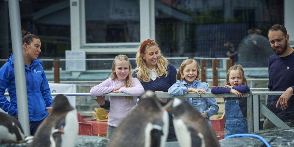 En kvinne og tre barn står ved en pingvindam og ser nysgjerrig på.