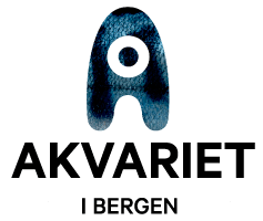 Akvariet i Bergen