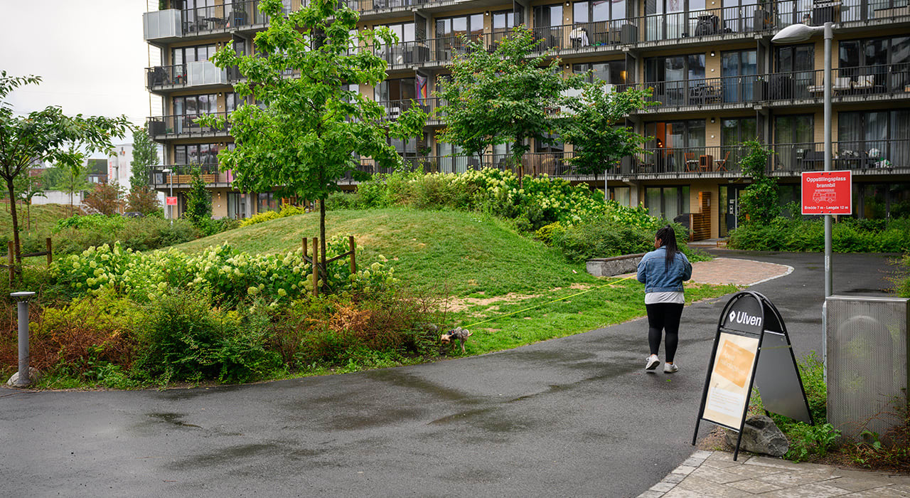 Elsie lufter hunden sin i bakgården til Ulven Park.