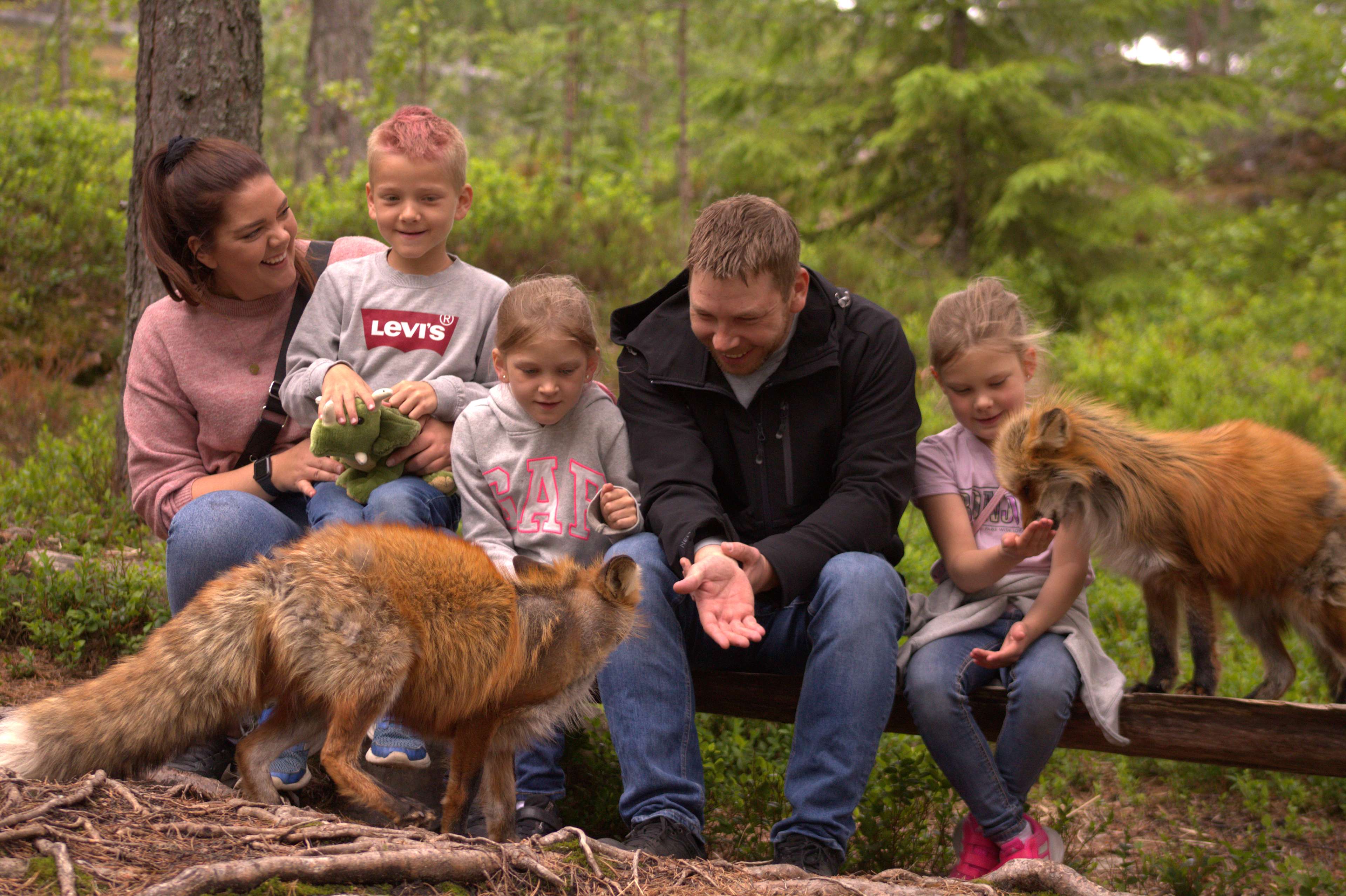 En familie på fem sitter ute og klapper rev. De er i Bjørneparken. De smiler og koser seg. Det er sko rundt dem.