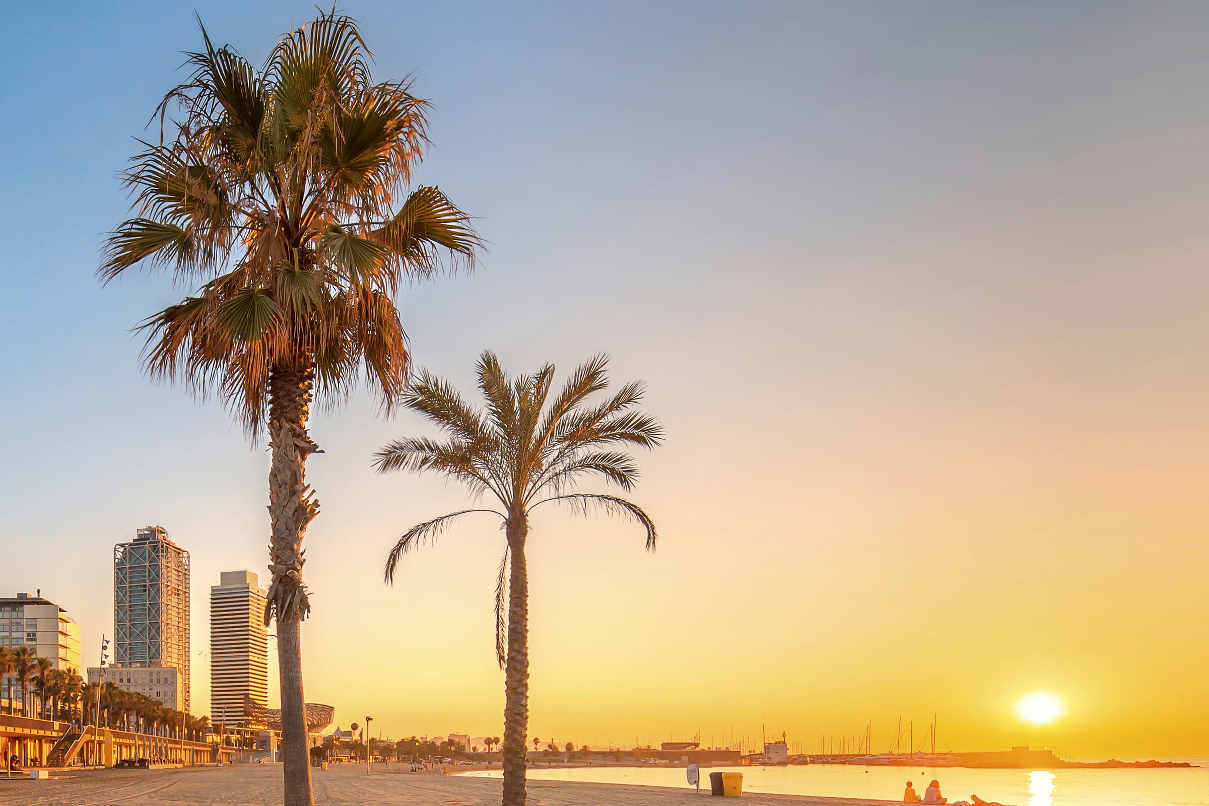 Bilde av en strand i Barcelona. Du ser havet, palmer og bygninger.