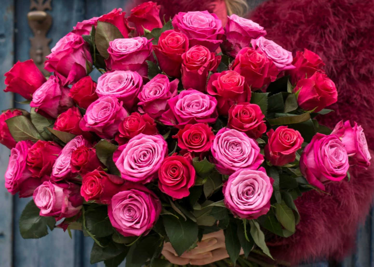Bilde av rosa roser