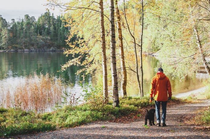 man och hund som promenerar