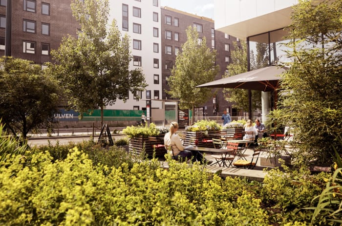 Kafe omringet av trær og busker på Ulven.