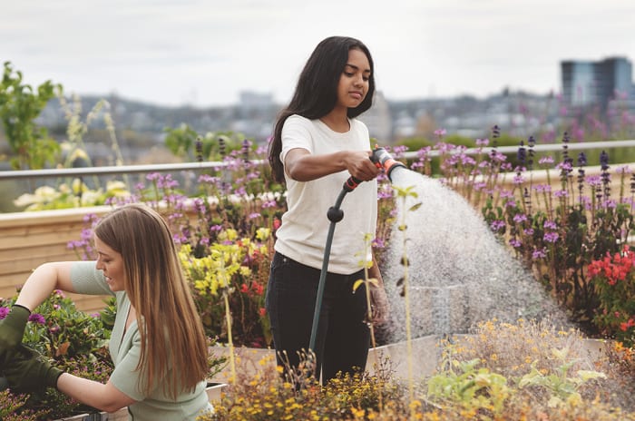 To kvinner som vanner blomster på en takterrasse.