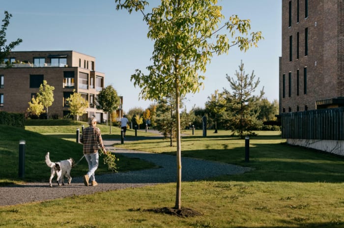 Mann som går tur med hund i et uteområde mellom boliger på Fornebu.