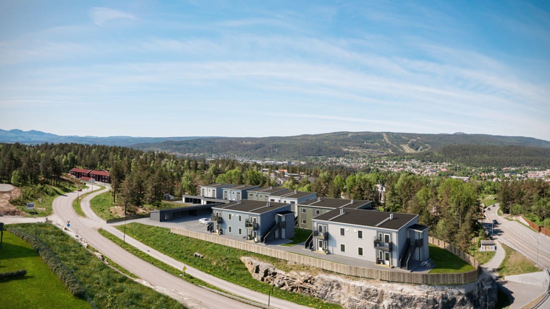 Oversiktsbilde av Henckeltunet Vest