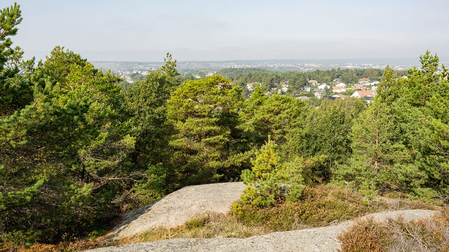 Utsikt mot Fredrikstad