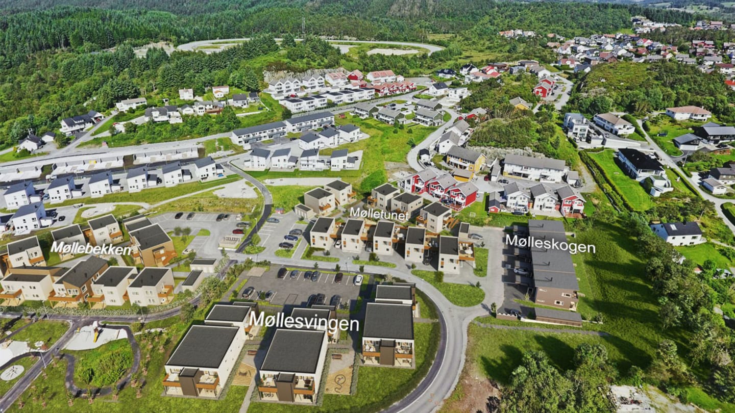 Oversikt over Mølleparken med navn