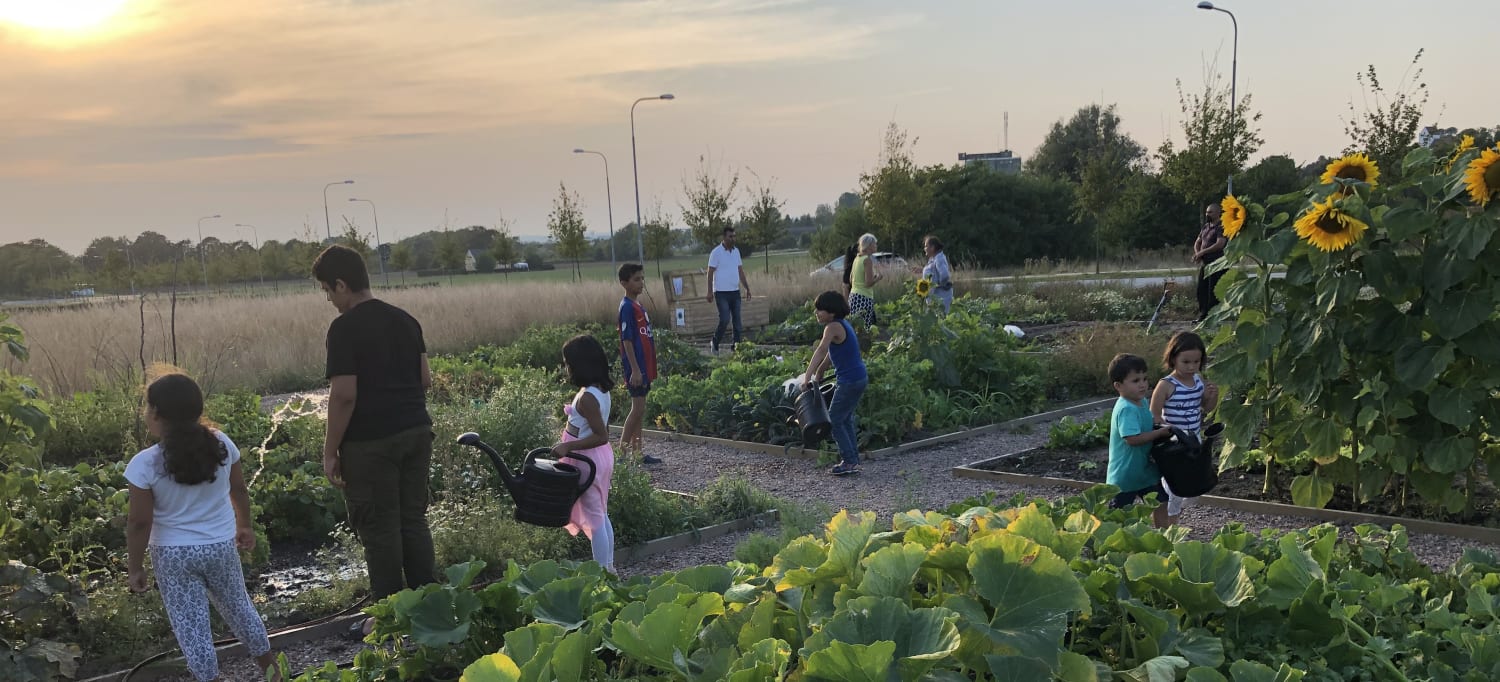 en familj vattnar sina grödor i ett odlingsland