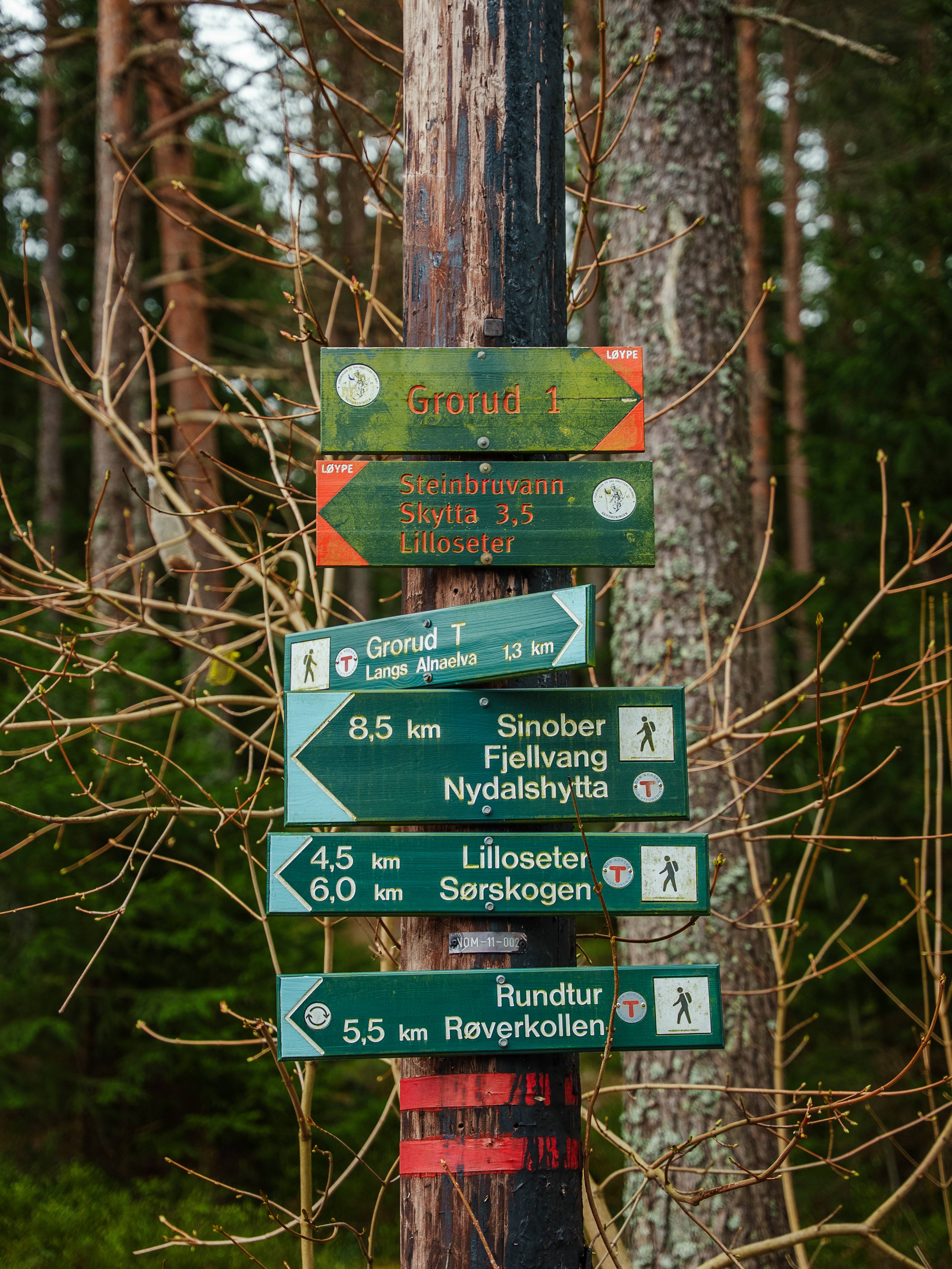 Foto av skilt med løyper og stier i Lillomarka, ved Oen.