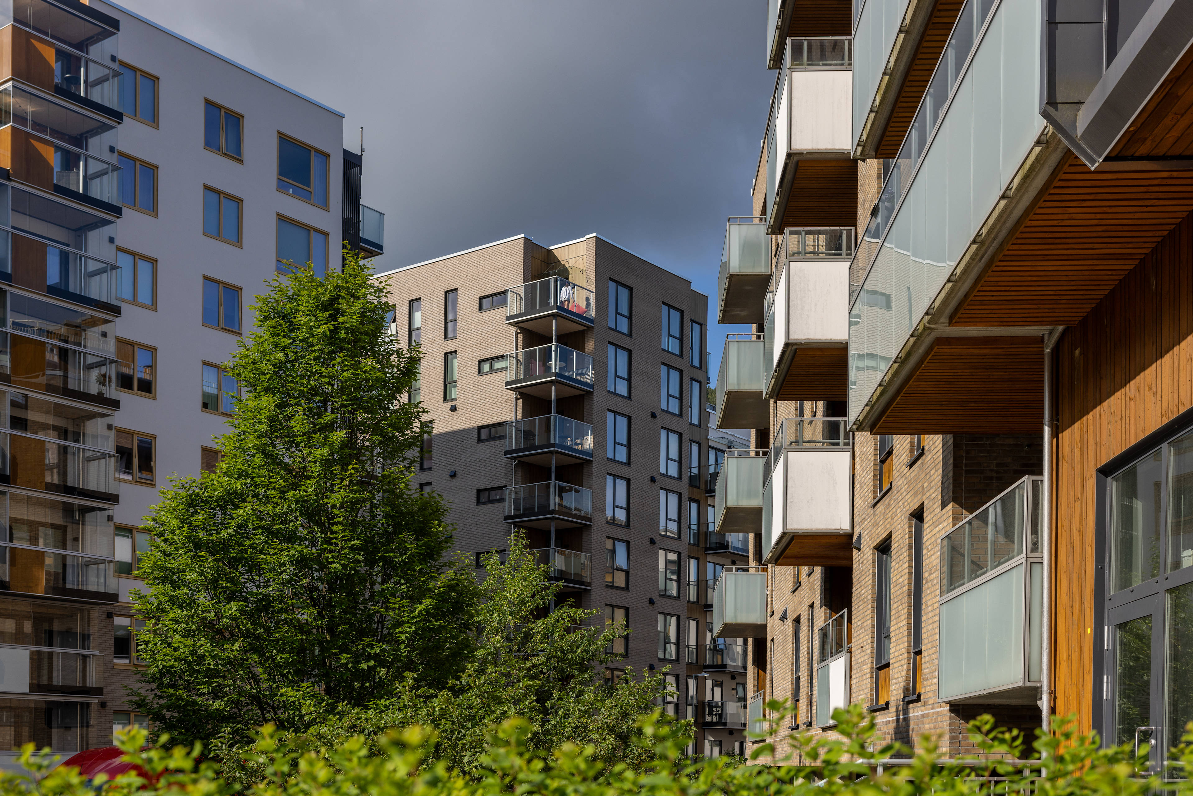 Et bilde av Kronstadparken med grønne vekster i forgrunnen