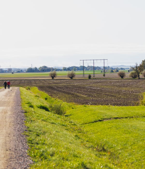 Två personer går på lantväg omgiven av grön åkermark
