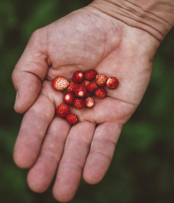 en hand med smultron