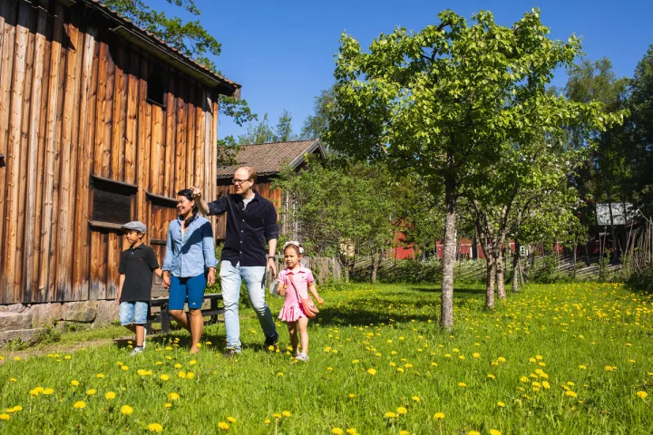 Foto av en familie på fire som går i sommerlig grønt gress langs gamle trehus