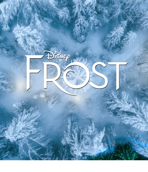 Foto av grønne og snødekkede trær sett fra oven med logoen Frost i midten.