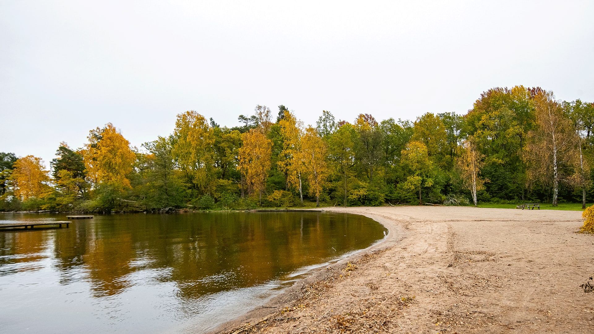 Sandstrand med träd i bakgrunden