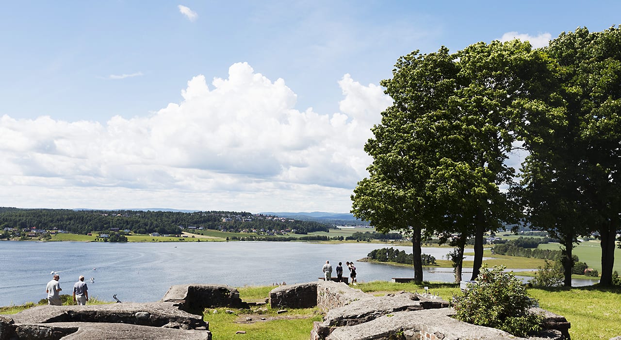 Bildet viser Slottsfjellet i Tønsberg